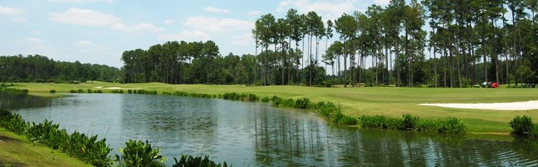 Hilton Head Island Amateur Golf Association